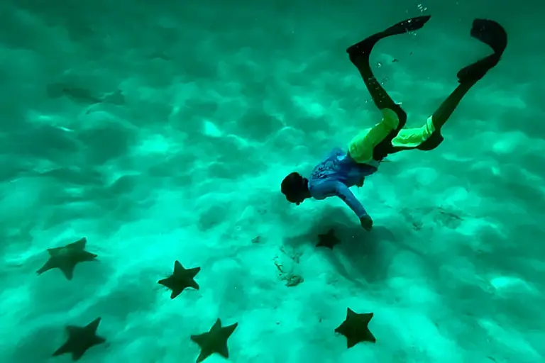Snorkeling with starfish on the Starfish and Wreck Snorkel tour in Roatan