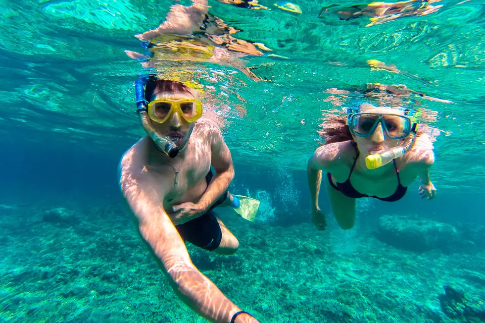 Starfish & Wreck Snorkel + Mangrove & Dolphin Tour in Roatan