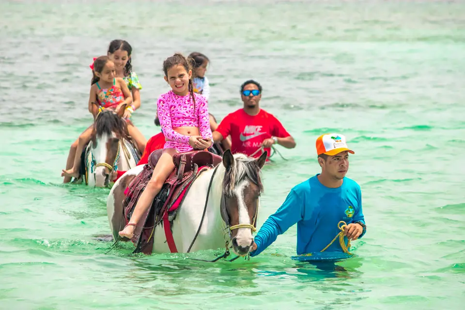 Horseback Riding, Snorkeling & Animal Sanctuary in Roatan